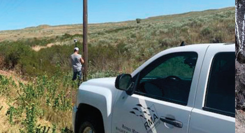 Customer Testimonial